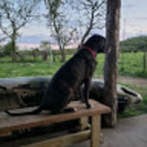 Meet your Posher, Kyle